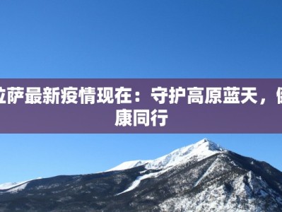 拉萨最新疫情现在：守护高原蓝天，健康同行