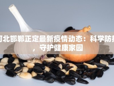 河北邯郸正定最新疫情动态：科学防控，守护健康家园