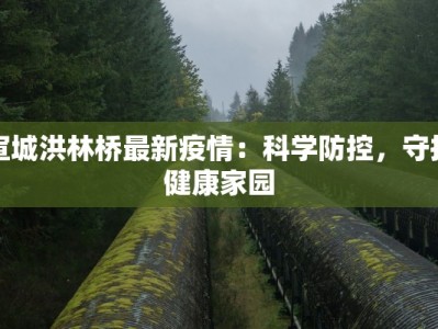 宣城洪林桥最新疫情：科学防控，守护健康家园