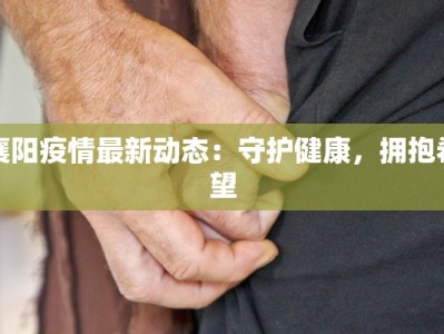 襄阳疫情最新动态：守护健康，拥抱希望