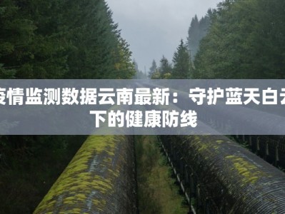 大连最新疫情举报：守护家园，从你我做起