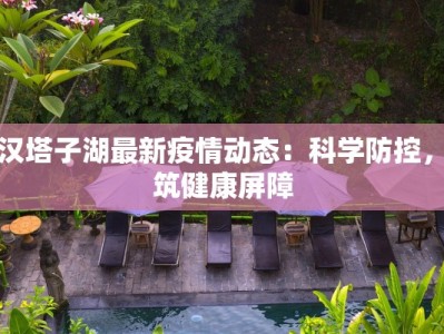 武汉塔子湖最新疫情动态：科学防控，共筑健康屏障