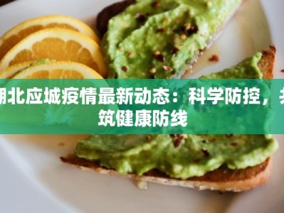 湖北应城疫情最新动态：科学防控，共筑健康防线