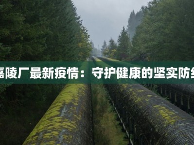 嘉陵厂最新疫情：守护健康的坚实防线