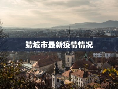 靖城市最新疫情情况