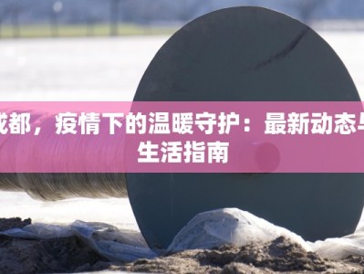 成都，疫情下的温暖守护：最新动态与生活指南