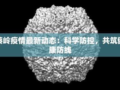 蔡岭疫情最新动态：科学防控，共筑健康防线
