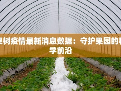 泉水疫情情况最新