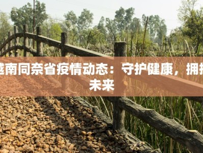 越南同奈省疫情动态：守护健康，拥抱未来