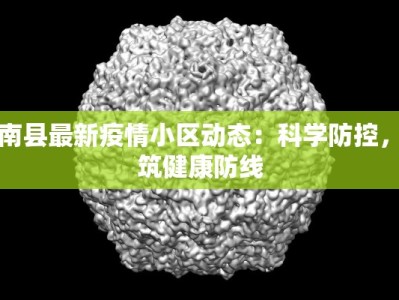 洛南县最新疫情小区动态：科学防控，共筑健康防线