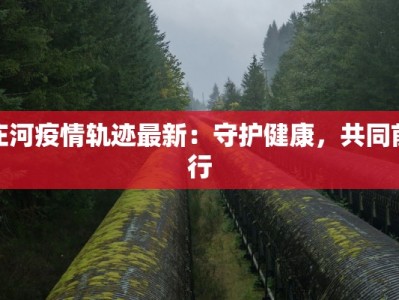 最新疫情漳州：守护健康，拥抱活力