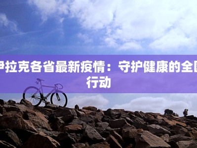 伊拉克各省最新疫情：守护健康的全国行动
