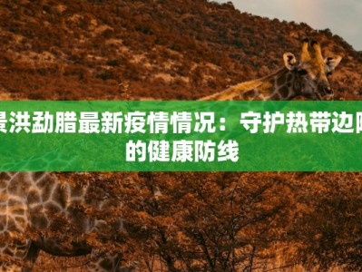 宁明疫情最新情报消息