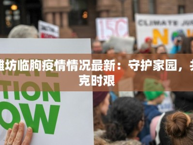 潍坊临朐疫情情况最新：守护家园，共克时艰