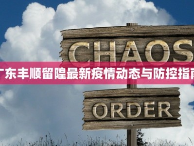 广东丰顺留隍最新疫情动态与防控指南