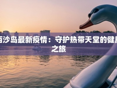 西沙岛最新疫情：守护热带天堂的健康之旅
