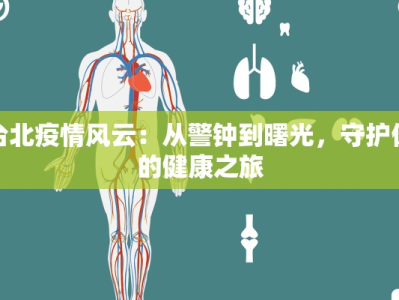 台北疫情风云：从警钟到曙光，守护你的健康之旅