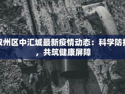 叙州区中汇城最新疫情动态：科学防控，共筑健康屏障