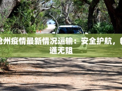 沧州疫情最新情况运输：安全护航，畅通无阻