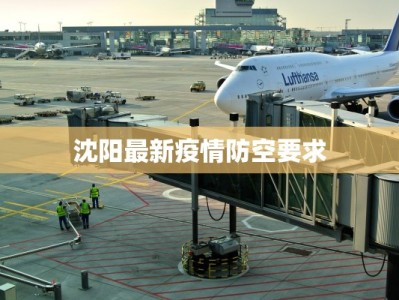 沈阳最新疫情防空要求