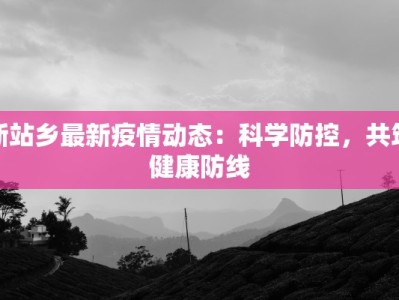 娄底金石疫情最新：科学防控，共筑健康防线