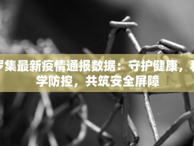 罗集最新疫情通报数据：守护健康，科学防控，共筑安全屏障