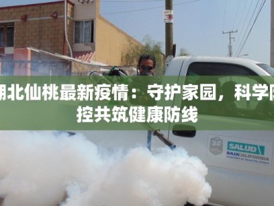 湖北仙桃最新疫情：守护家园，科学防控共筑健康防线