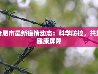 合肥市最新疫情动态：科学防控，共筑健康屏障