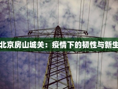 北京房山城关：疫情下的韧性与新生