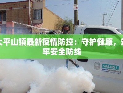 大平山镇最新疫情防控：守护健康，筑牢安全防线