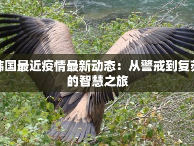 韩国最近疫情最新动态：从警戒到复苏的智慧之旅
