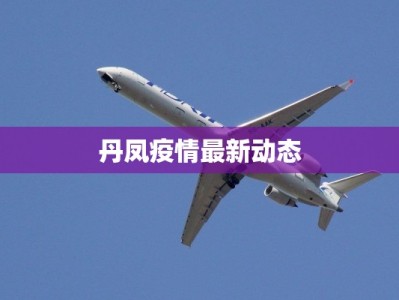 丹凤疫情最新动态