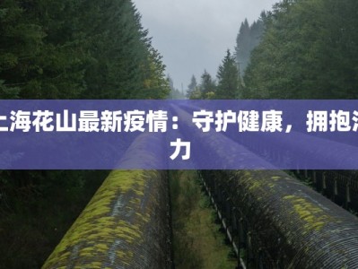 沈疫情最新情况