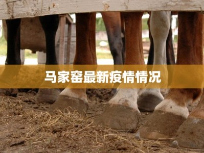 流金家园最新疫情：守护健康家园的温暖之旅