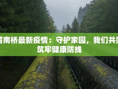 柳林镇最新疫情：科学防控，守护健康家园