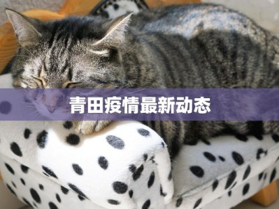 青田疫情最新动态