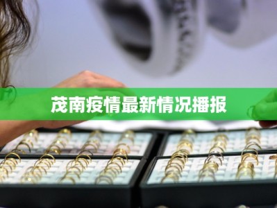 茂南疫情最新情况播报