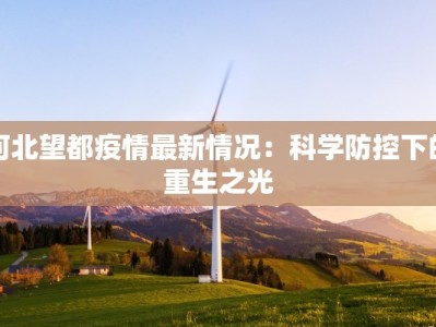 河北望都疫情最新情况：科学防控下的重生之光
