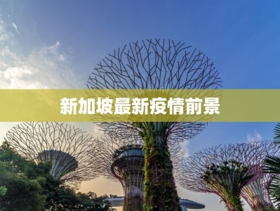 新加坡最新疫情前景