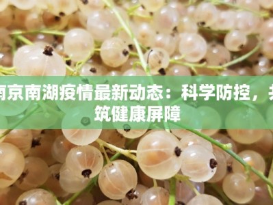 南京南湖疫情最新动态：科学防控，共筑健康屏障