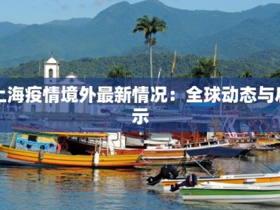 上海疫情境外最新情况：全球动态与启示