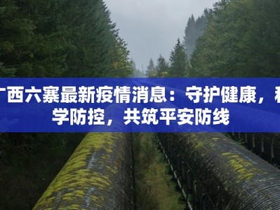 广西六寨最新疫情消息：守护健康，科学防控，共筑平安防线