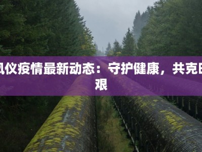 凤仪疫情最新动态：守护健康，共克时艰