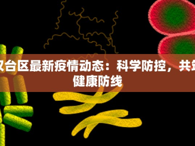 汉台区最新疫情动态：科学防控，共筑健康防线