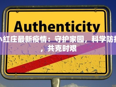 小红庄最新疫情：守护家园，科学防控，共克时艰
