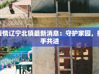 北京武清最新疫情：科学防控下的平安守护