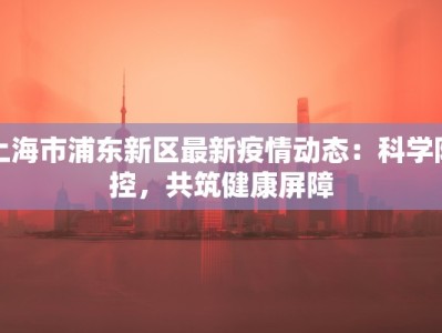 上海市浦东新区最新疫情动态：科学防控，共筑健康屏障