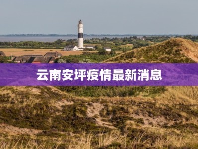 云南安坪疫情最新消息