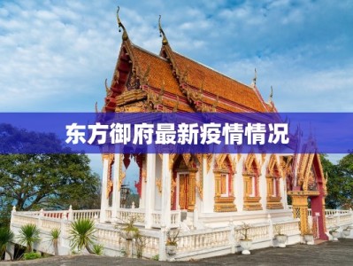 东方御府最新疫情情况
