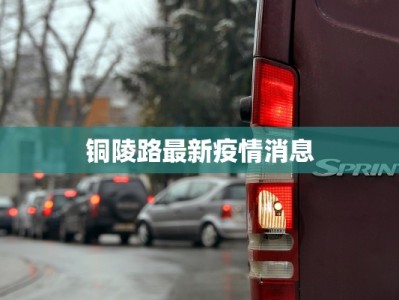 铜陵路最新疫情消息